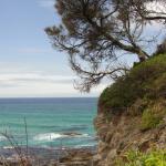 Narooma